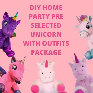 DIY Unicorn Home Party Package & Outfits Pre-Selected