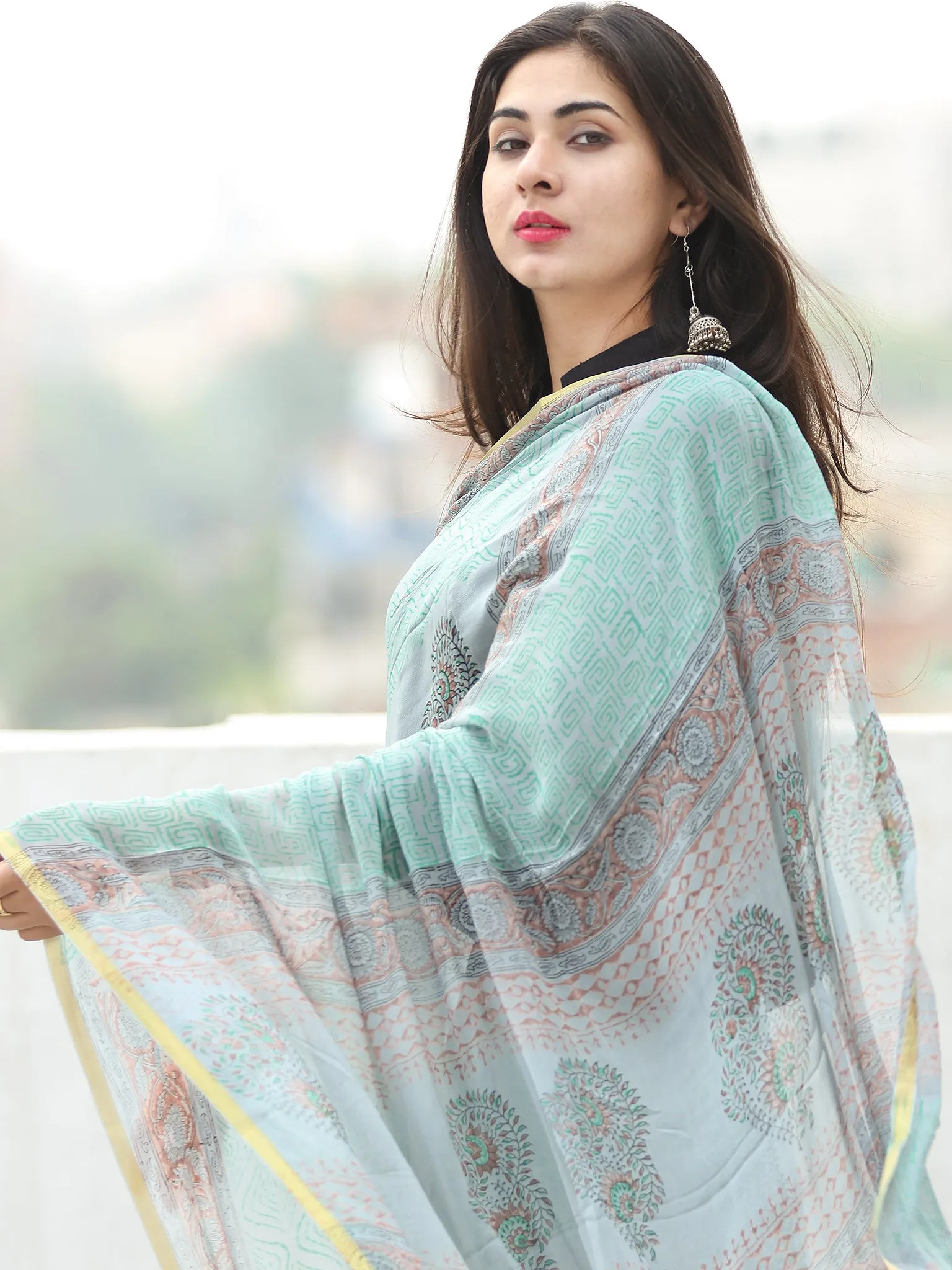 Pastel Blue Green Hand Block Printed Chiffon Saree with Zari Border - S031703949